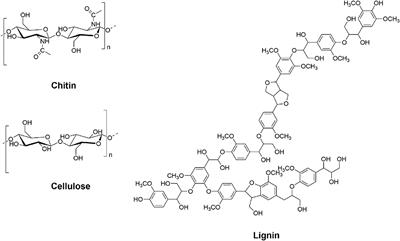 Use of Ionic Liquids in Chitin Biorefinery: A Systematic Review